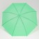 Umbrella - semi -automatic cane "plain", 8 spokes, r = 46 cm, green color
