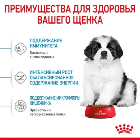 Сухой корм RC Giant Puppy для щенков, 15 кг-2
