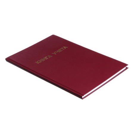 Book of accounting, 96 sheets, boumvinyl cover, offset block, cage, burgundy color-1