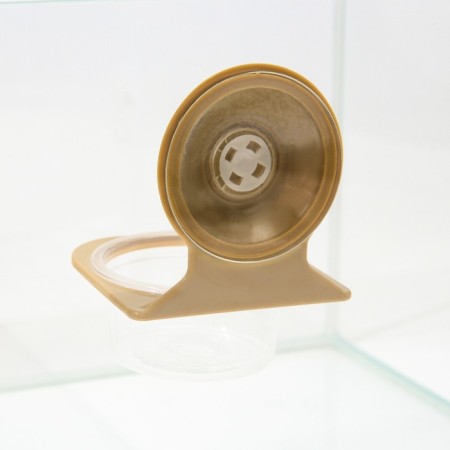 NomoyPet feeder for a terrarium on suction cups, 7.5 x 11 cm-1