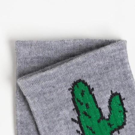 Women's socks "Cactus" color gray, size 23-25-1