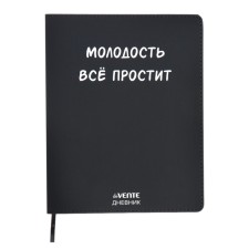 Дневник универсальный для 1-11 класса "Молодость всё простит", интегральная обложка, искусственная кожа, шелкография, ляссе, 80 г/м2
