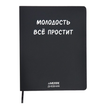 Universal diary for grade 1-11 "Youth will forgive everything", integral cover, artificial leather, silkography, lies, 80 g/m2