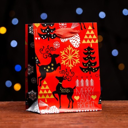 Laminated "New Year's Entry" package 11.5 x 14.5 x 6 cm