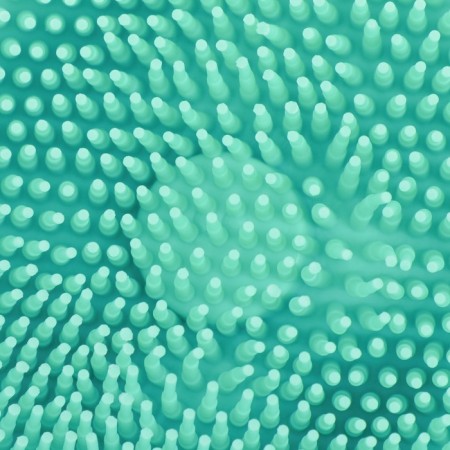 Brush for washing and massage of animals, with a container for shampoo, turquoise-5