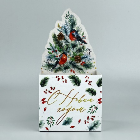 Box for mini-boots "Happy New Year", bullfinches, 12 x 17 x 10 cm, New Year-1