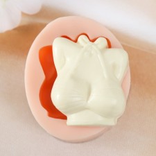 Silicone Mold 