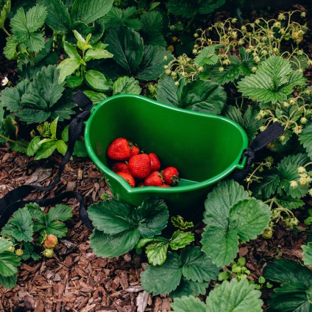 Container for collecting berries, 3 l, "flowering crop", green-13