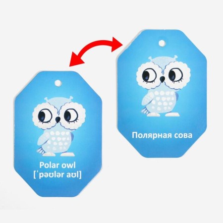 Cards on the ring for learning English "animals of poles", 20 cards, ring, 3+-3