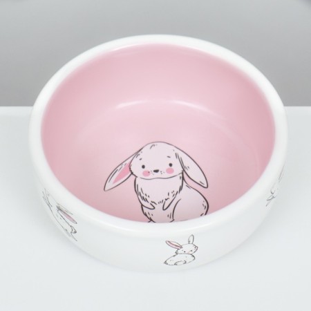 Ceramic bowl for rabbits 200 ml 10 x 3.7 cm, white-pink-3
