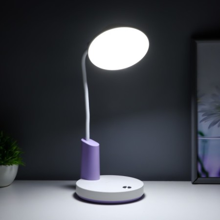 Highway lamp "Gard" LED, from USB/AKB 7 W, 3000-6000 sensor to white-violet 13x12x37 cm Risalux-1