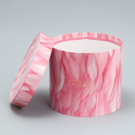 Set of hats 5 in 1, gift packaging, “feathers”, 13 x 14 - 19.5 x 22 cm-11