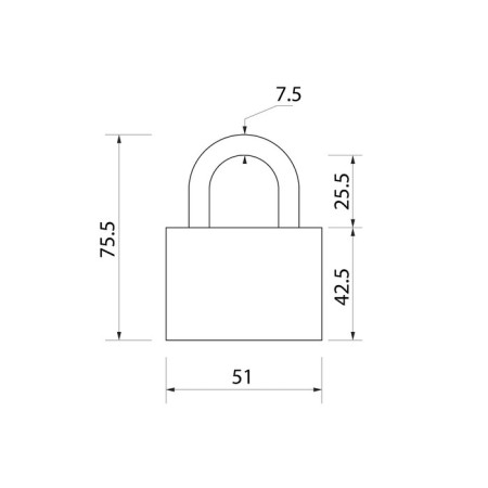 Castle hinged, 50 mm, moisture -proof, short handle, 3 keys-3