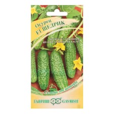 Seeds of cucumber 