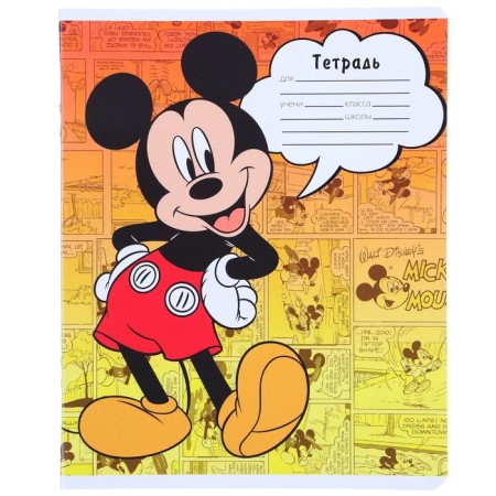 A notebook in a line of 24 sheets, 5 types of mix, cover coated paper, Minnie Mouse-6