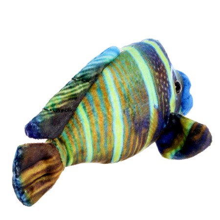Soft toy "Fish Napoleon Mini", 16 cm-3