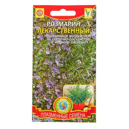 Seeds Rosemary medicinal, 20 pcs
