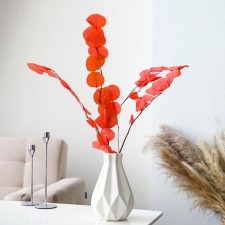 Sukhotzet of peach wood, 50 g, length - 70 cm, pink color