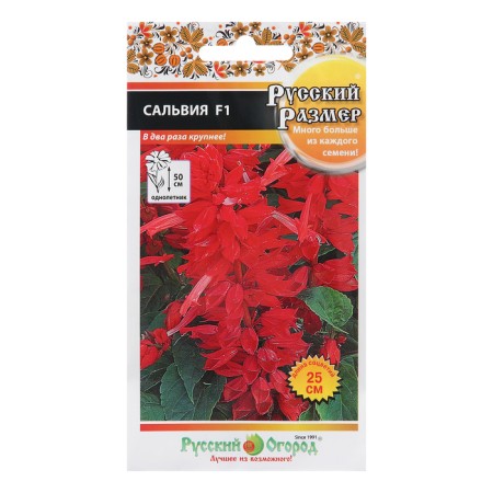 Flower seeds Salvia "Russian size", 20 pcs