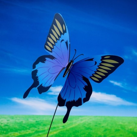 STETER "Butterfly Berber" 14.5x10.5cm/25cm, set 12pcs, mix-2
