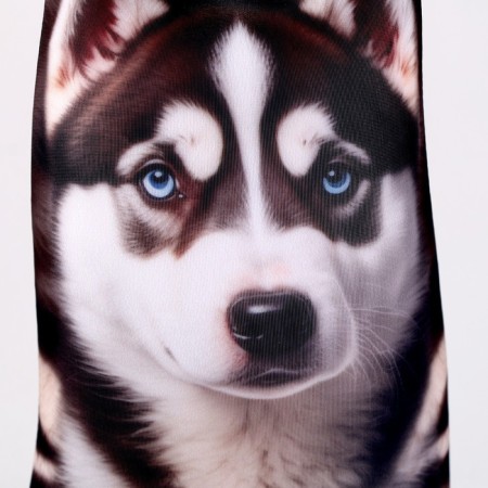 Antistress toy "Husky"-4