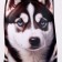 Antistress toy "Husky"