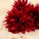Artificial flowers "Polu-kaktusovo dahlia" d-6 cm 65 cm burgundy