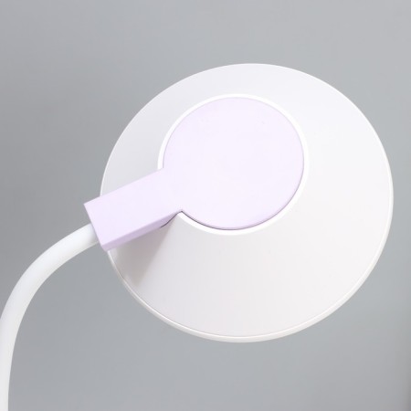 Highway lamp "Gard" LED, from USB/AKB 7 W, 3000-6000 sensor to white-violet 13x12x37 cm Risalux-5