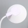 Highway lamp "Gard" LED, from USB/AKB 7 W, 3000-6000 sensor to white-violet 13x12x37 cm Risalux
