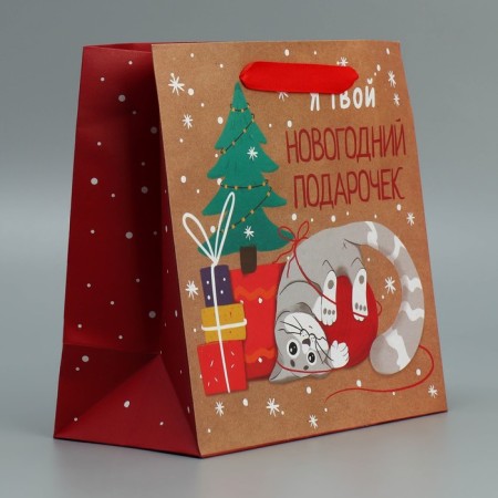 Craft square “Gift”, 22 x 22 x 11 cm, New Year-2
