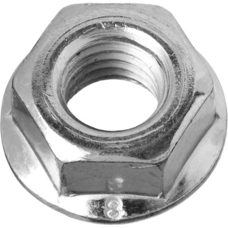 Gaika Zzerta master, with flange, DIN 6923, strength of strength 8, galvanized, M5, 16 pcs