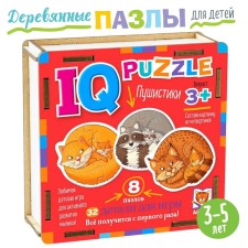 Wooden IQ puzzle 