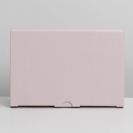 Gift folding box, packaging, "pink", 22 x 15 x 10 cm-5