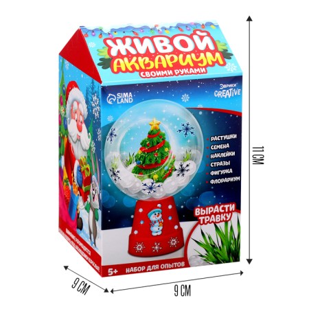 Set for experiments "New Year Florarium"-10