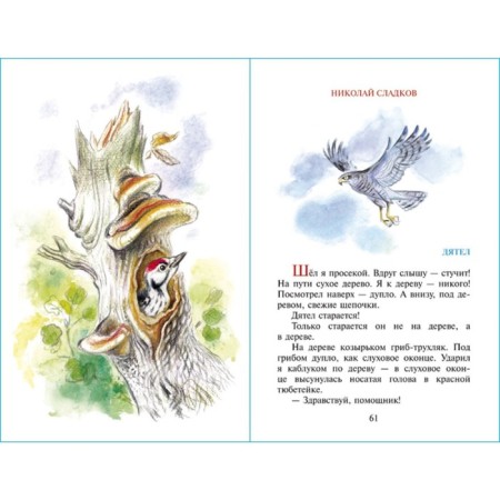 Stories about animals. SLOLKOV N.I., Bianchi V.V., Prishvin M.M.-4