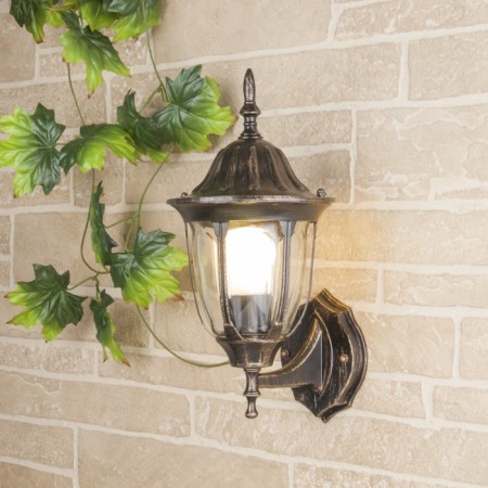 Elektrostandard Light Garden-Park, 60 W, E27, IP44, wall, 1002U black gold
