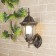 Elektrostandard Light Garden-Park, 60 W, E27, IP44, wall, 1002U black gold