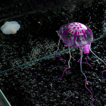 Decor for the Aquarium "Medusa" Silicone, with a neon effect, 5 x 5 x 15 cm, purple-3