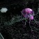 Decor for the Aquarium "Medusa" Silicone, with a neon effect, 5 x 5 x 15 cm, purple