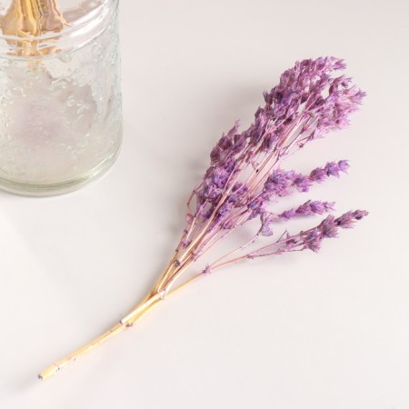 Set of dried flowers "chandra", banch length 40 (+/- 6 cm), lilac-3