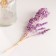 Set of dried flowers "chandra", banch length 40 (+/- 6 cm), lilac