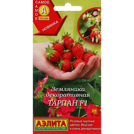 Strawberries "Tarpan", F1, C/P, 5 pcs.