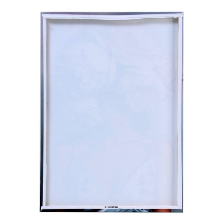 Picture on the canvas "Femin Lilia" 50*70 cm-2