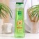 Hair shampoo clean line “regulatory”, freshness and volume, 400 ml