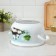 Panda pan, 3.1 l, glass cover