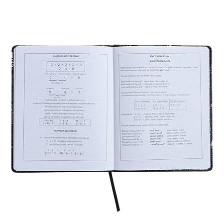 Universal Diary Grade 1-11, 48 sheets "Buntar spirit", a solid cover of artificial leather, lies, universal cheat sheet, block 80 g/m2-10
