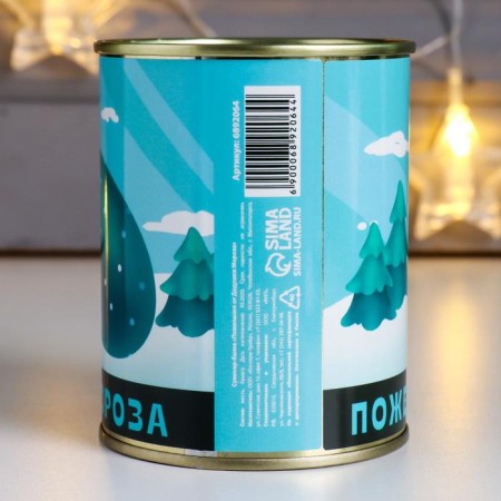 Bank souvenir "Wishes from Santa Claus"-2