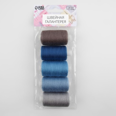 Set of threads, 20/2, 274 m, 5 pcs, color blue spectrum-1