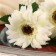 Artificial flowers "Garde Garden" 6x50 cm, white