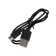 Portable column LM-891, 10 W, 800 mAh. Highlight, black